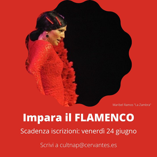 Laboratorio di flamenco 1