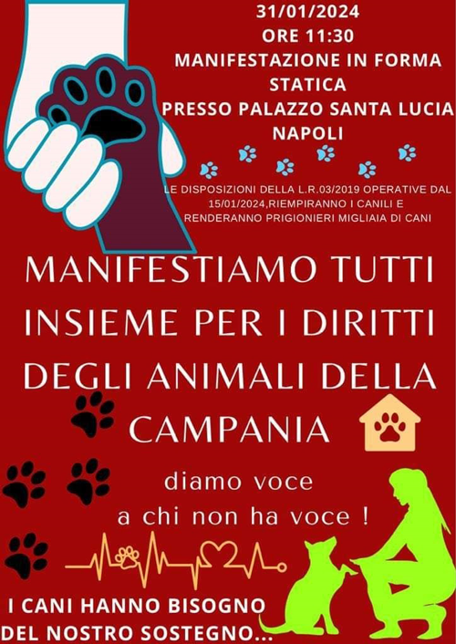 Anagrafe canina gli animalisti della Campania in piazza per i diritti dei cani 1