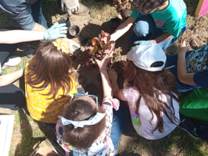Riscatto sociale e rigenerazione urbana con Talking Flower 1