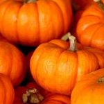 Halloween e zucca mania gli eventi 2023 a Napoli2