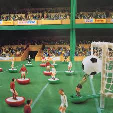 Subbuteo al Parco Mascagna