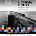 il cinema esteso