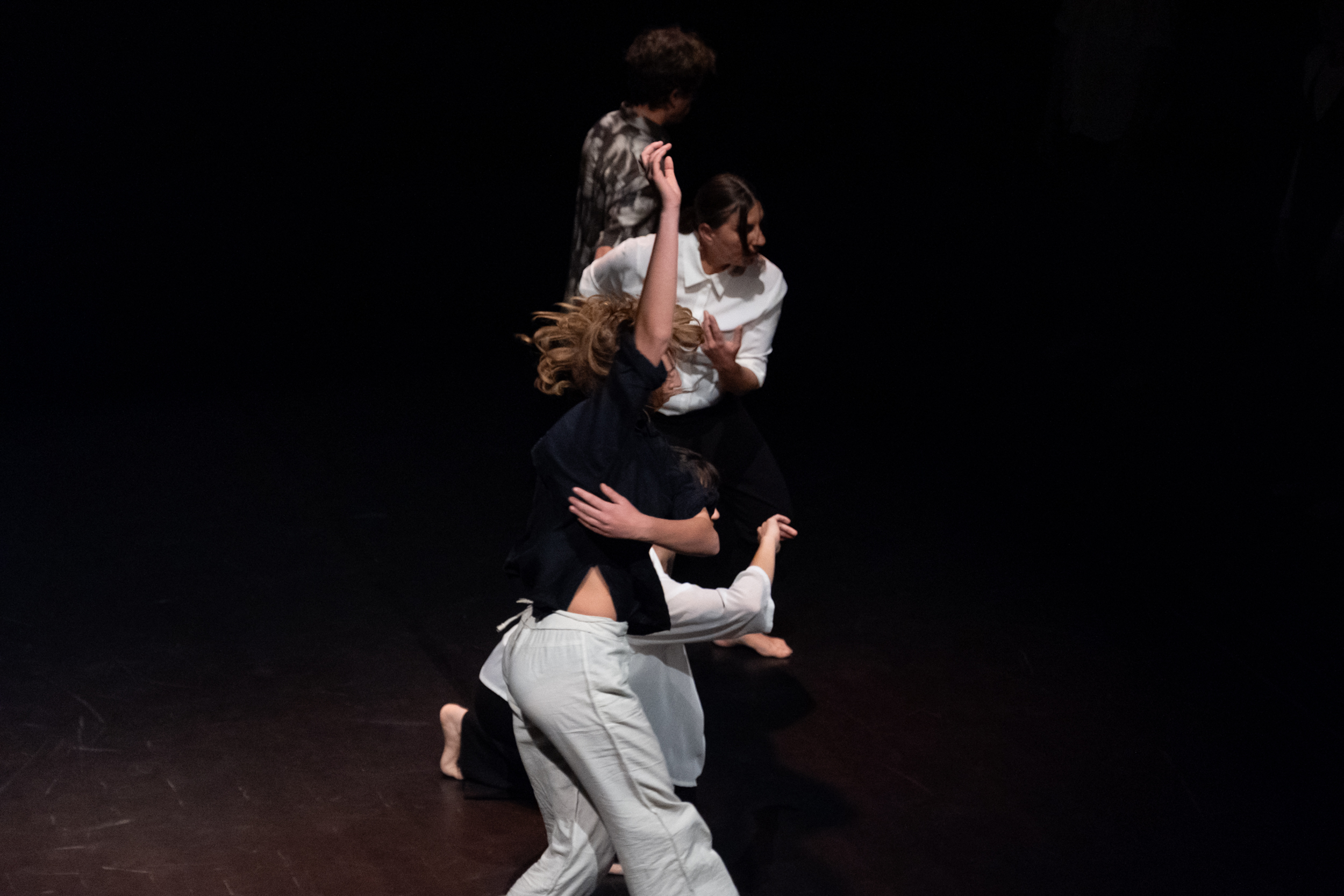 mprovvidance