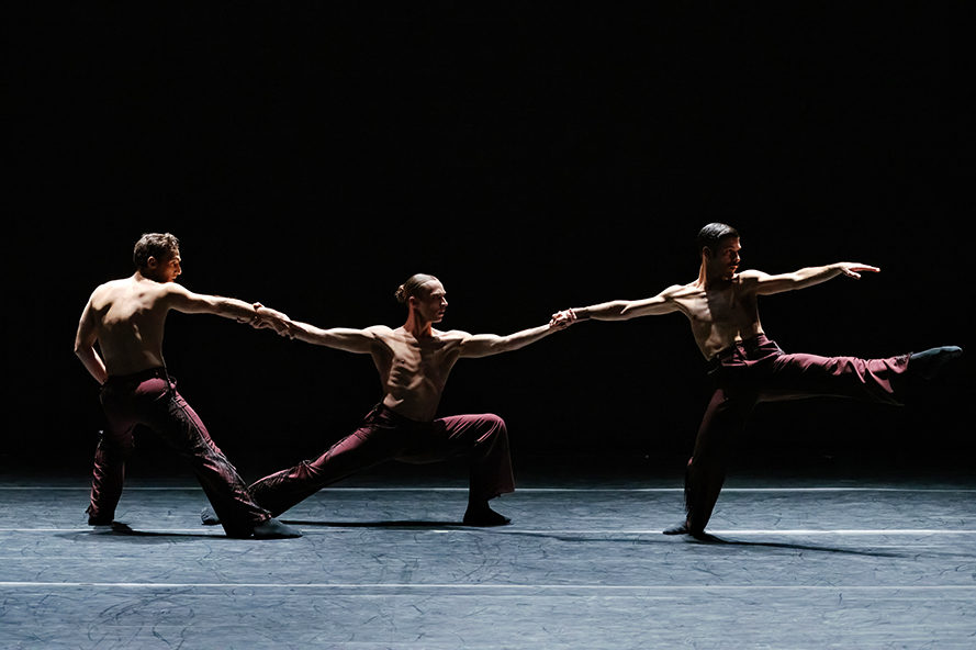 Open Dance 2026